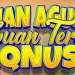 QQNUSA - Agen Judi Slot RTP Live Terbaik Indonesia